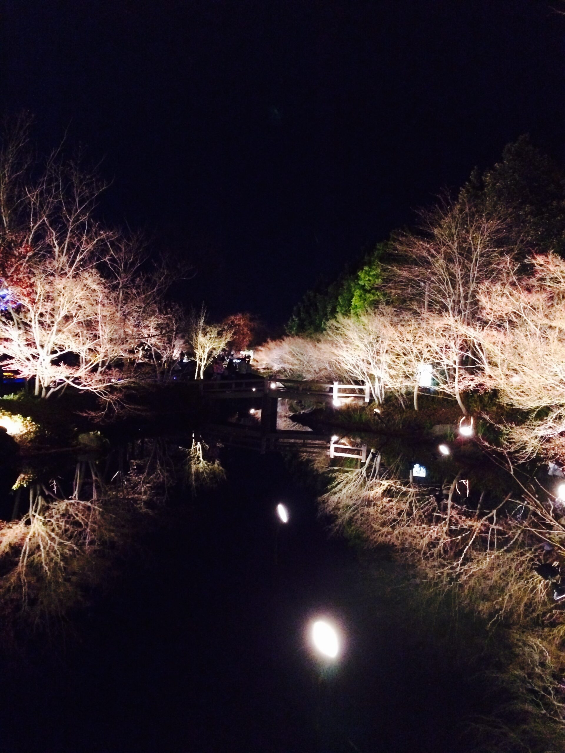 12月のレッスンスケジュールのお知らせ